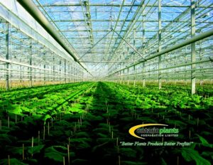 Ontario plants propagation job