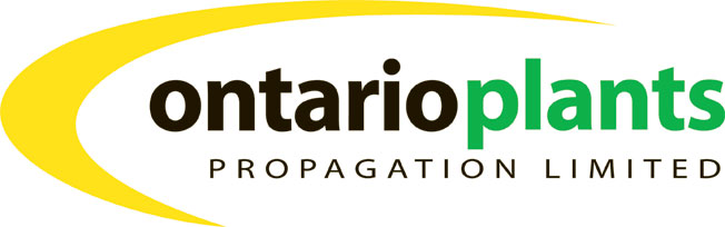 Limex kar en traywasser Ontario Plant Propagation.