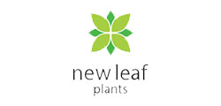 new-leaf-plants
