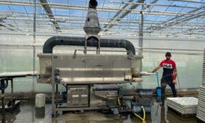 Limex tray and  raft washing machine lowers water use and improves cultivation hygiene at De Kruidenaer