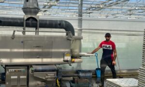 Limex tray- en drijverwasmachine verlaagt waterverbruik en verbetert teelthygiëne bij De Kruidenaer in Etten-Leur