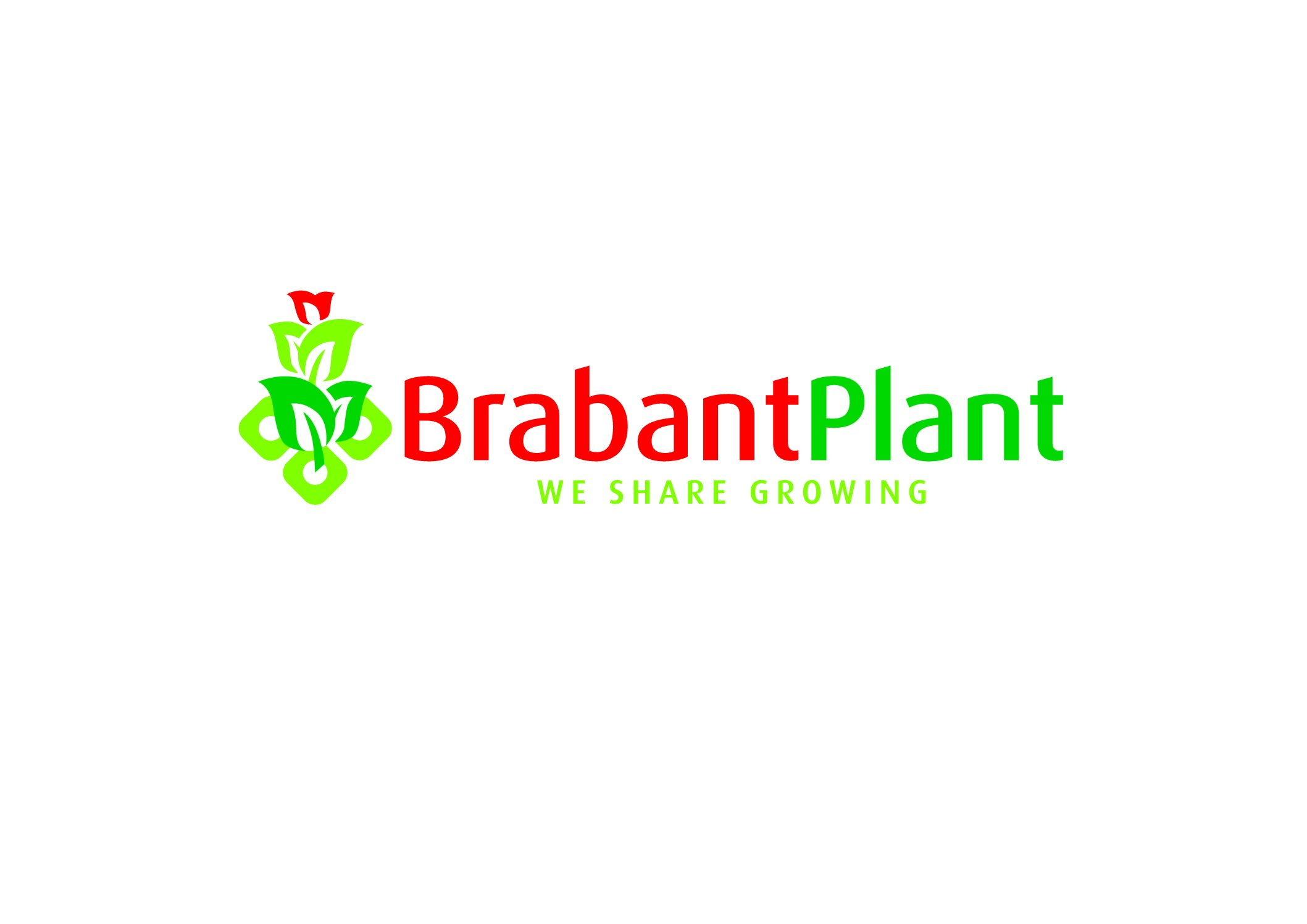 Less water usage, faster throughput: the advantages of vertical crate washing at Brabant Plant